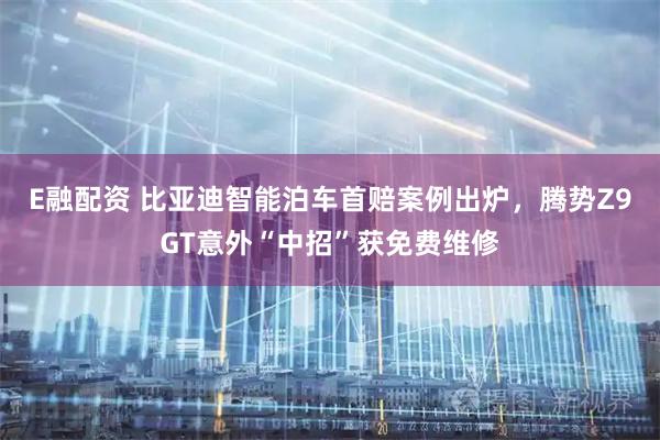 E融配资 比亚迪智能泊车首赔案例出炉，腾势Z9GT意外“中招”获免费维修