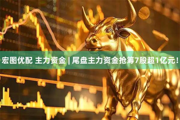 宏图优配 主力资金 | 尾盘主力资金抢筹7股超1亿元！