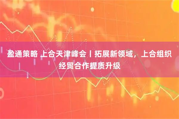 盈通策略 上合天津峰会丨拓展新领域，上合组织经贸合作提质升级