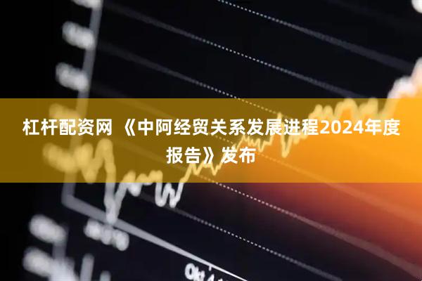 杠杆配资网 《中阿经贸关系发展进程2024年度报告》发布