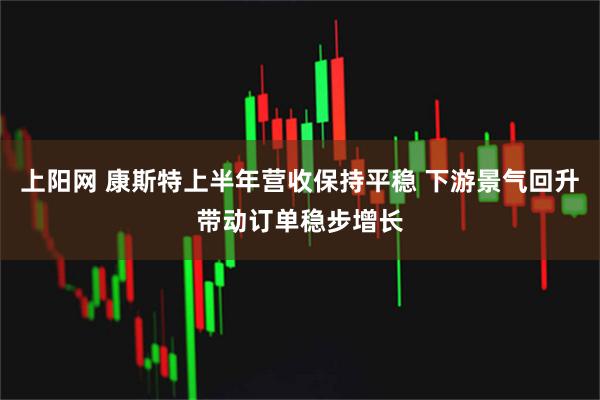 上阳网 康斯特上半年营收保持平稳 下游景气回升带动订单稳步增长