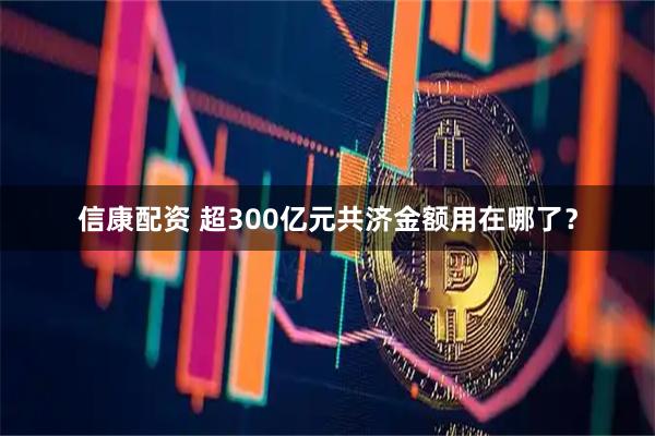 信康配资 超300亿元共济金额用在哪了?