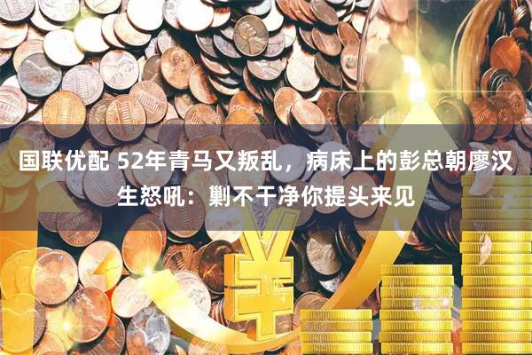 国联优配 52年青马又叛乱，病床上的彭总朝廖汉生怒吼：剿不干净你提头来见