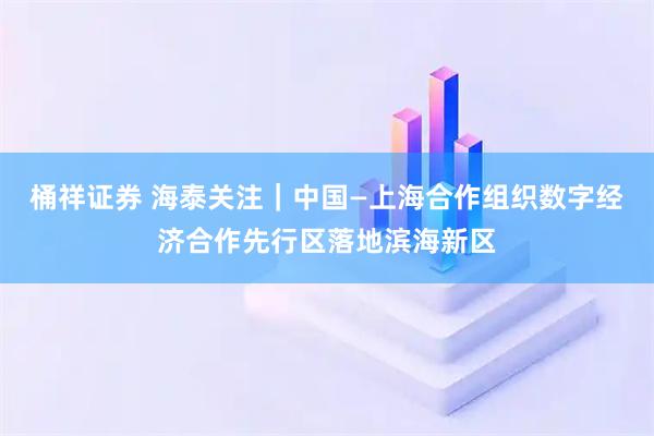 桶祥证券 海泰关注｜中国—上海合作组织数字经济合作先行区落地滨海新区