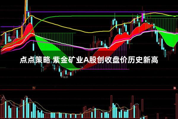 点点策略 紫金矿业A股创收盘价历史新高