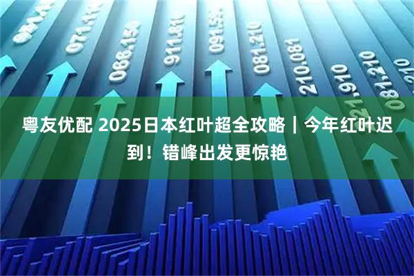 粤友优配 2025日本红叶超全攻略｜今年红叶迟到！错峰出发更惊艳