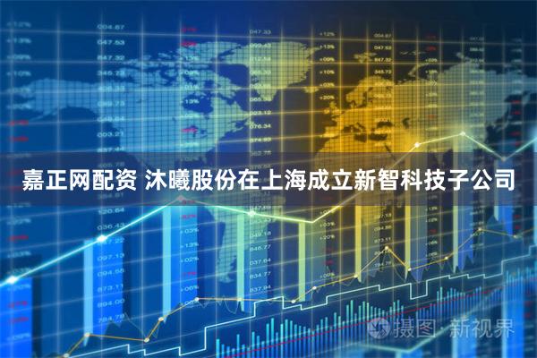 嘉正网配资 沐曦股份在上海成立新智科技子公司